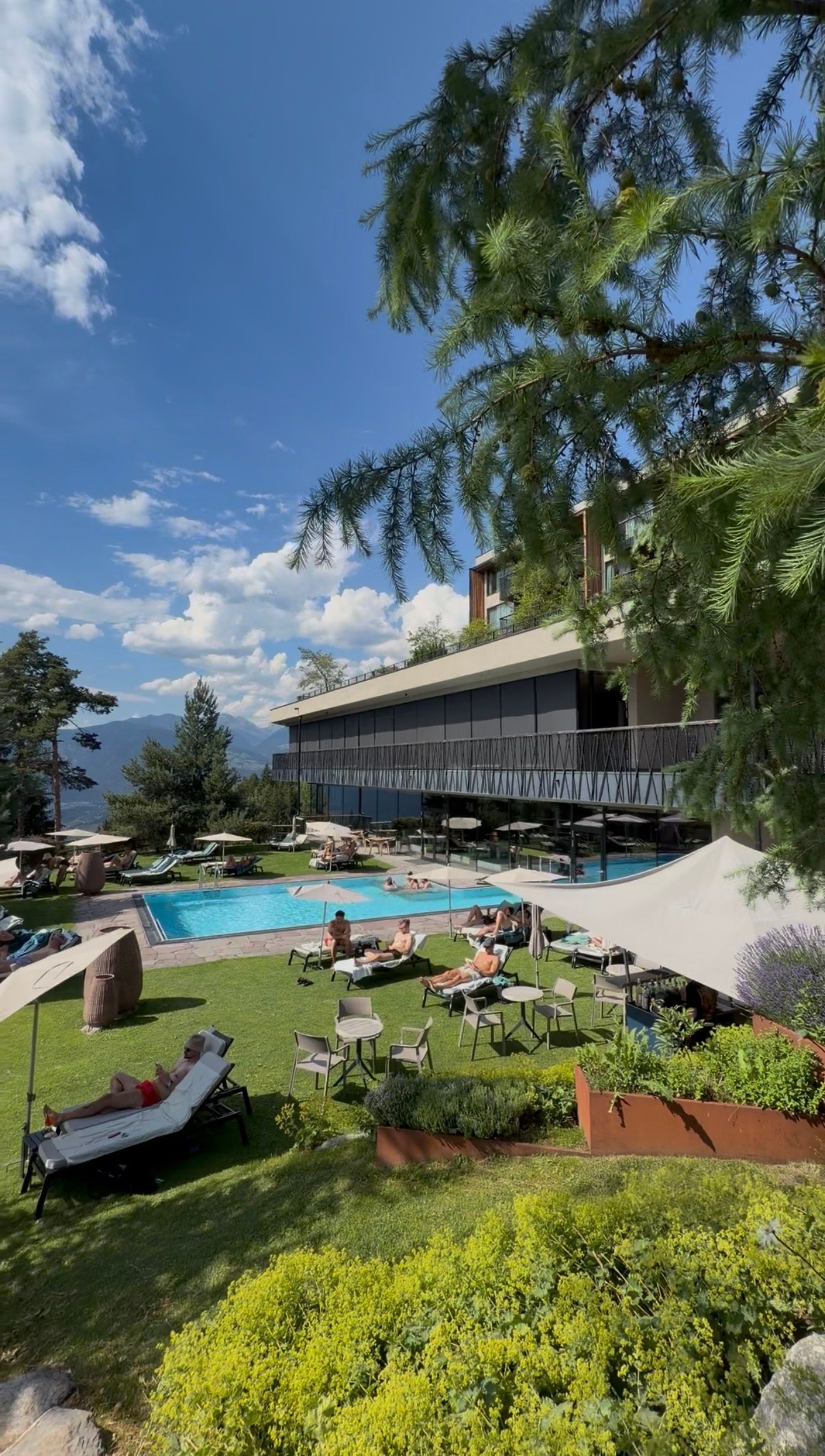 Swimming pool overlooking the hill